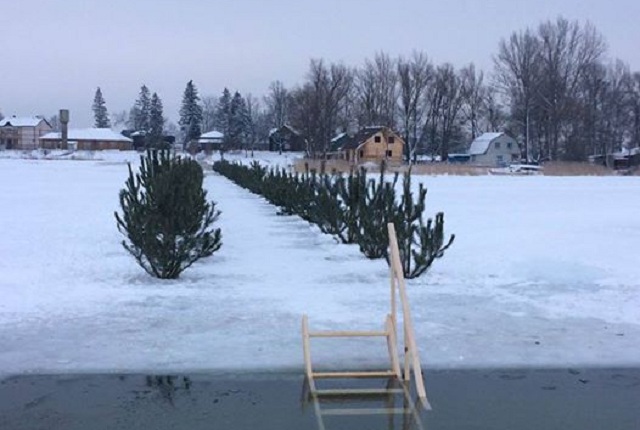 Знищили 200 сосен: як зустрічали на Водохреще еліту лісового господарства в Шацьку
