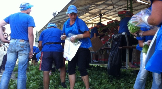 В Польшу на заработки уехало рекордное количество украинцев