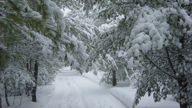 На Киев надвигаются сильные морозы