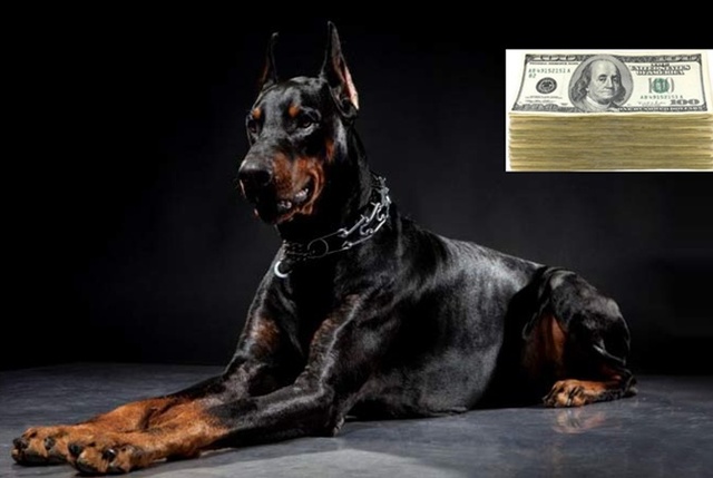 Кому-то из киевлян достанется 1000 долларов