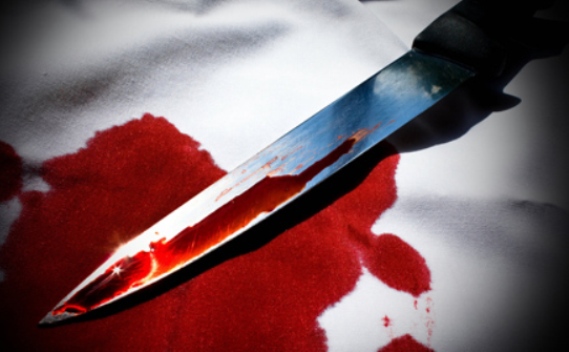 Хто насправді вбив жінку та дитину і що стало причиною (відео)