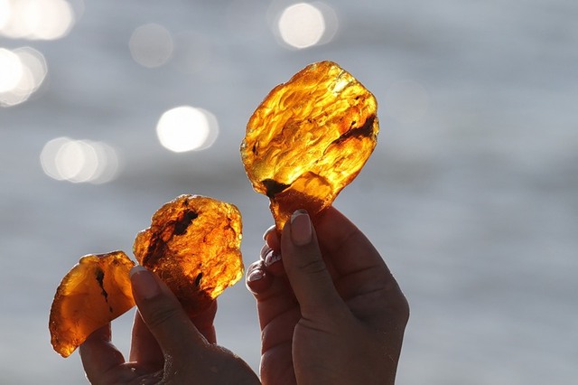 Расследование National Geographic о янтарной лихорадке в Украине