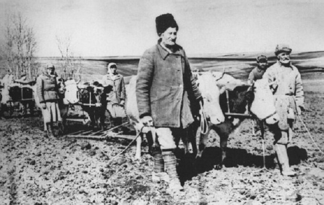 Колгосп імені Петра Порошенка