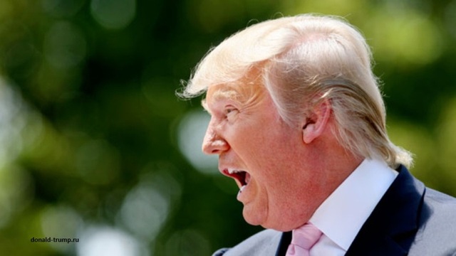 Первые недели президентства Трампа стали катастрофическими - The Financial Times