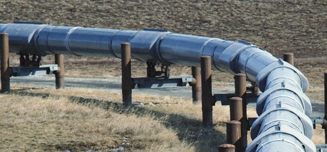 Налоговики пресекли деятельность одного из крупнейших частных импортеров газа в Украину