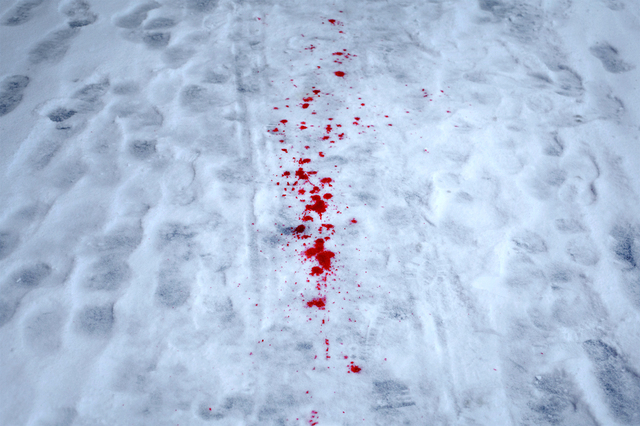 В Киеве раскрыли жестокое убийство девушки