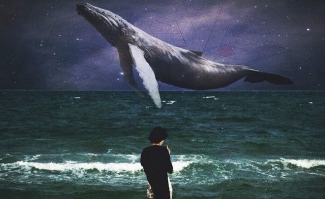 В Украине начали борьбу со страшной игрой «Синий кит»