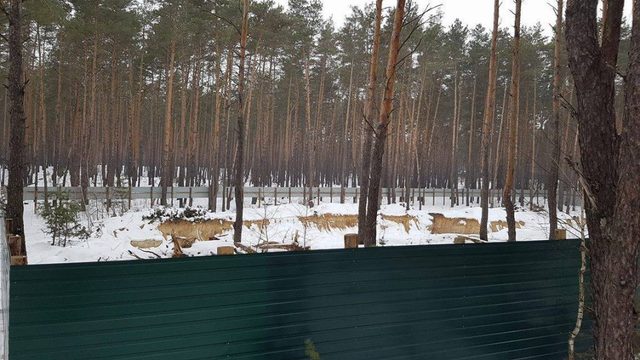 Екс-прокурор Київщини дерибанить землі під Києвом, – Віталій Купрій