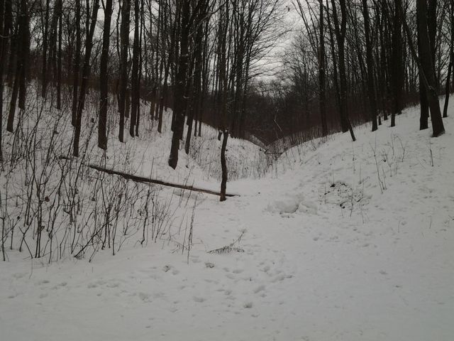Под Харьковом задушили и сожгли девушку
