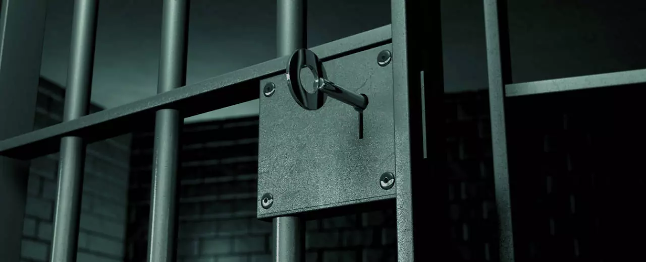 Жінці дали 1,5 роки тюрми за вкрадені 2 тюки соломи