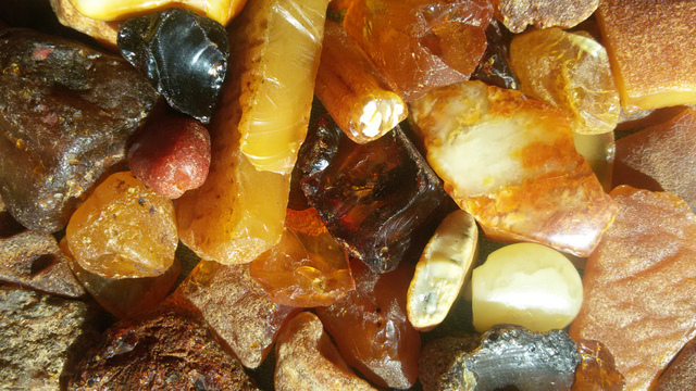 Контрабанда янтаря: как из Украины вывозят солнечнный камень