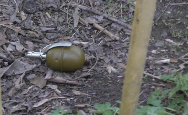 Трагедия в Донецкой области: от взрыва гранаты погиб мальчик