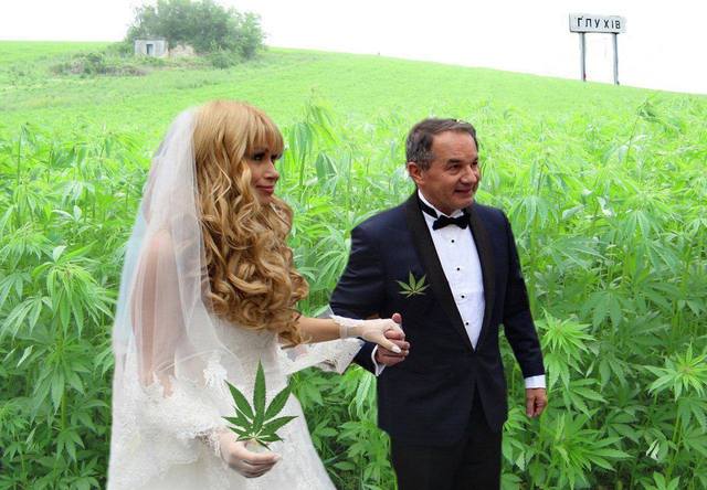 Мэр Глухова с супругой решил заработать на конопле