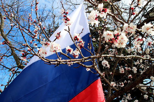 Соцсети "спалили" украинских офицеров на симпатиях к "русской весне"