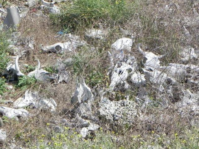 У Волинській області мешканці перекрили дорогу через екологічну катастрофу