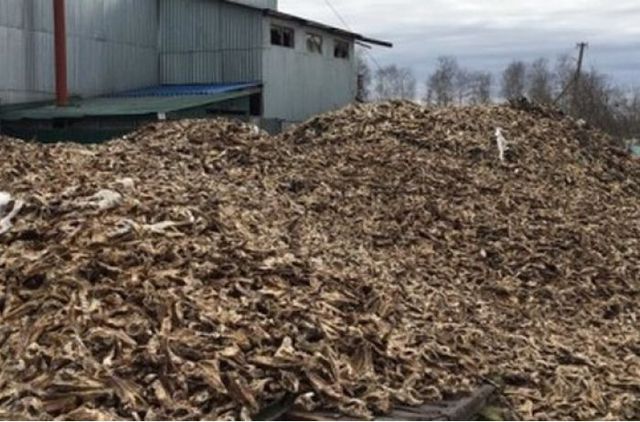 Второй Чернобыль: на Волыни появилась «долина смерти»