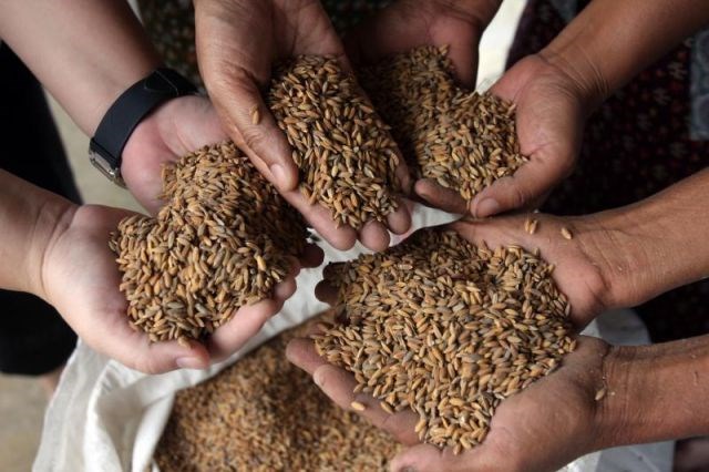 РФ вошла в пятерку потребителей агропродукции ЕС