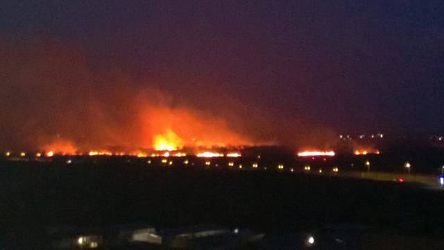 ГосЧС назвали причину большого пожара под Киевом