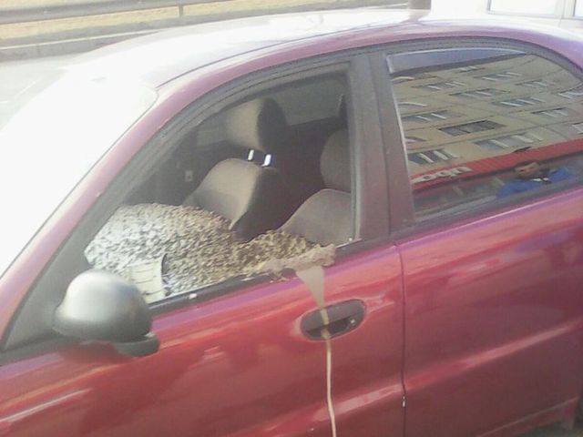 Россиянин залил автомобиль жены бетоном за то, что она захотела поменять фамилию