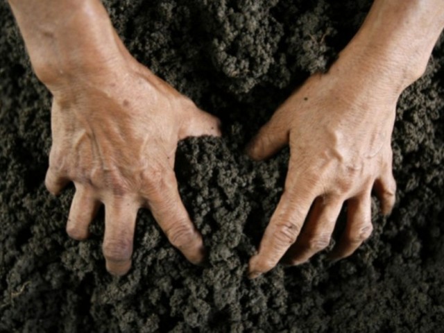 Причина обміну декларації на довідку з психлікарні – 12 земельних наділів у «вічного» посадовця?