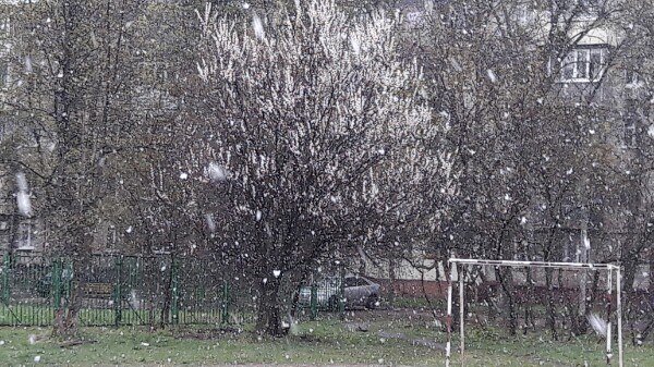 Появилось видео обильного апрельского снегопада в Харькове