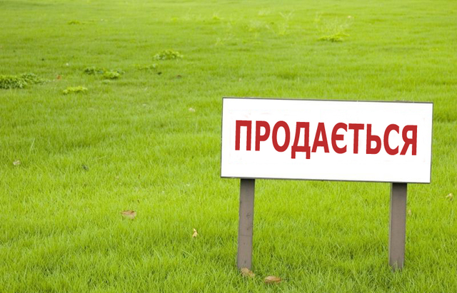 Украина входит в шесть стран на планете, где запрещена продажа земли