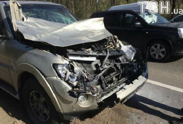 Известный боксер попал в ДТП под Киевом, сбив лося