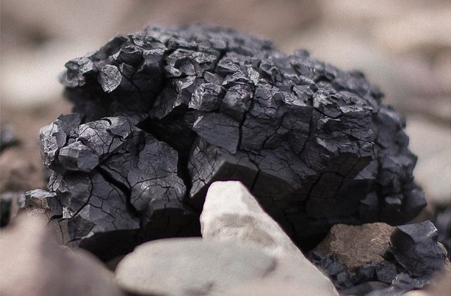 Кучеренко: Покупка угля у грузинской компании — это Роттердам ++