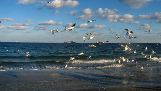 На травневі свята – до моря: "Укрзалізниця" потішила додатковими потягами