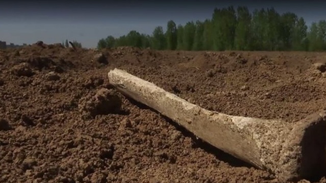 В Полтаве власти пытались скрыть массовое захоронение