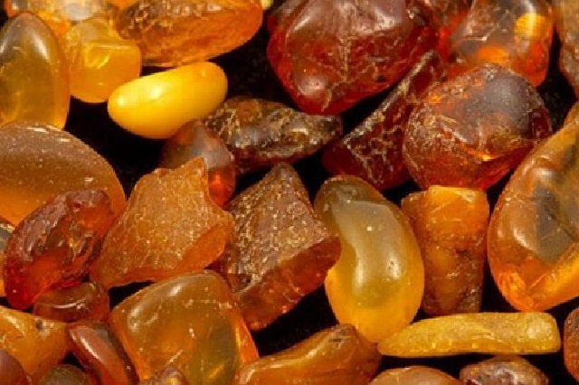 Бурштинові війни: дерибан по-житомирськи