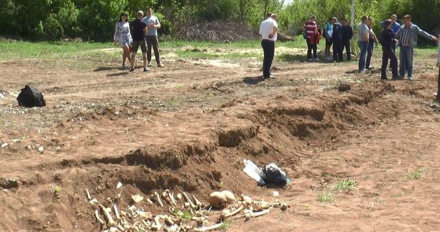 В Полтаве новый микрорайон возводят на месте массовых захоронений