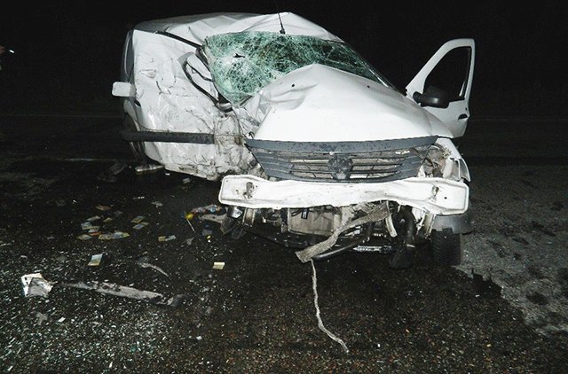 Смертельна ДТП трапилася на Київщині через раптову появу кабана