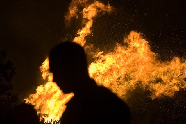 Одесскому нардепу сожгли баню