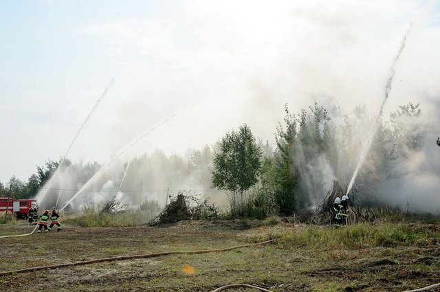 Киеву грозят пожары и ядовитый дым от торфяников. Названы опасные районы
