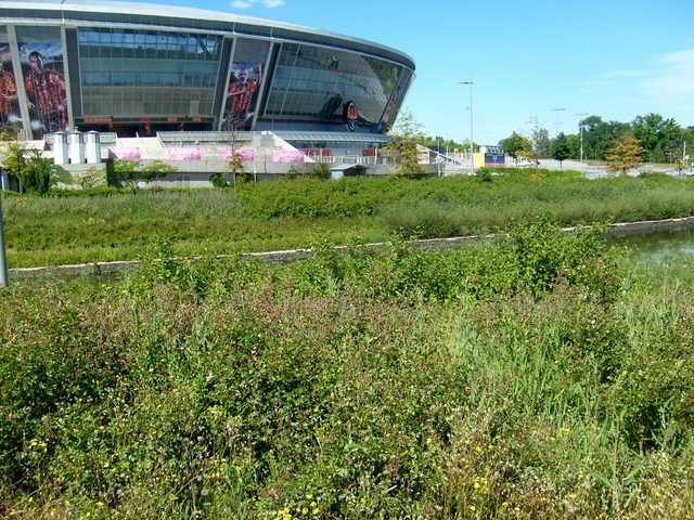 Опубликованы кадры парковой зоны вокруг "Донбасс Арены"