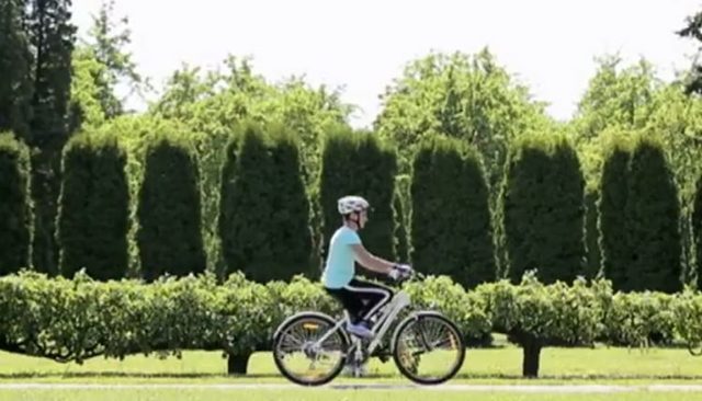 Жена Порошенко провела велотренировку на канале Ахметова