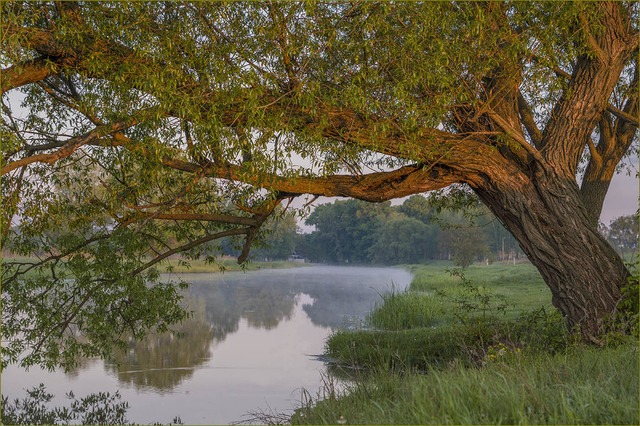 На Рівненщині людину забили палкою