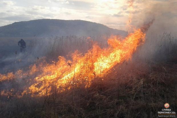 На Полтавщині горять поклади торфу