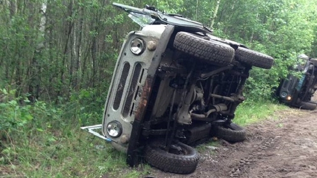 Янтарные войны-2. Почему в лесах Ровенщины опять стреляют?