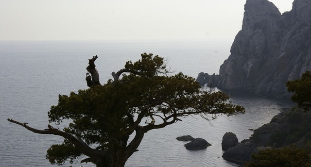 Кримський Бандерівець: Україна навчила кримчан поганому