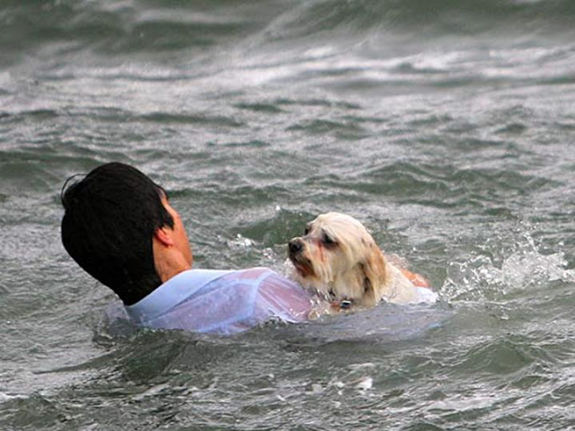 Иностранный моряк утонул в Одессе, спасая щенка