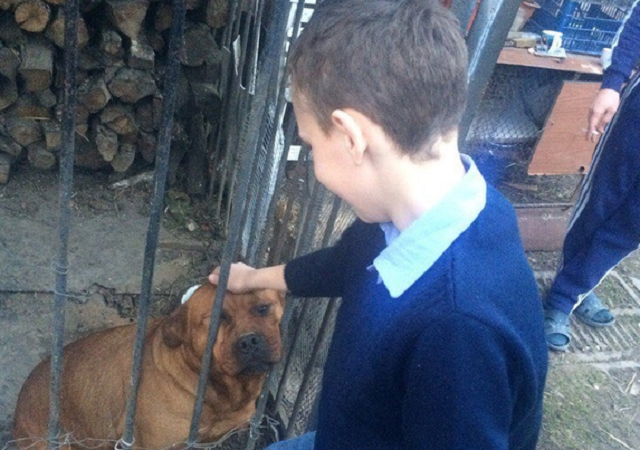 Шокуючий випадок на Прикарпатті: школярі зняли на відео жорстоке побиття сироти