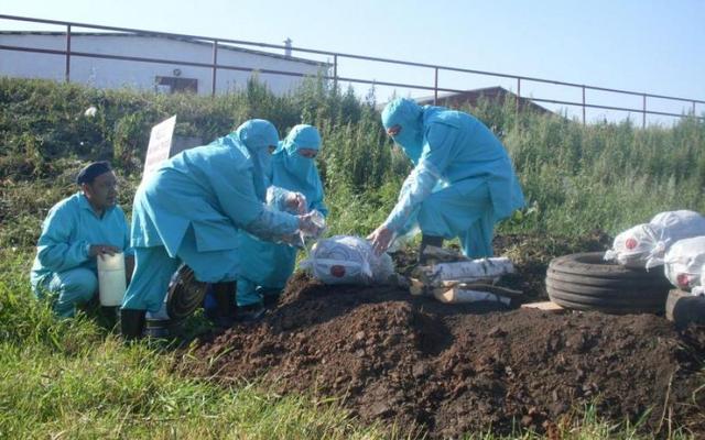 Смертельная опасность: у школы нашли инфицированные трупы