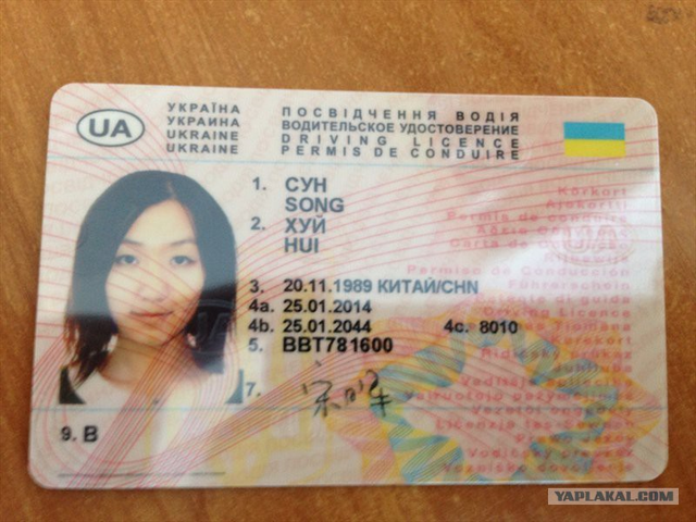 Украинским водителям готовят новые права