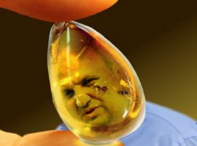 Крысиная жизнь розенблатов