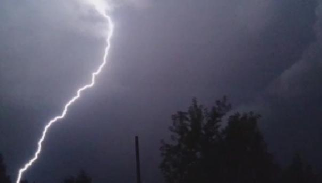 В Черкасской области молния убила трех человек во время работ в поле