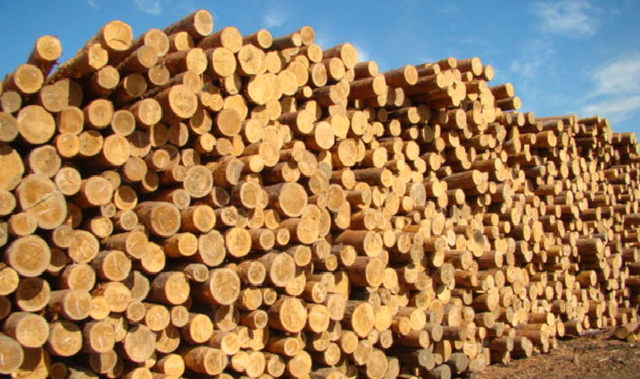 Евросоюз снова привязал свои транши к экспорту древесины