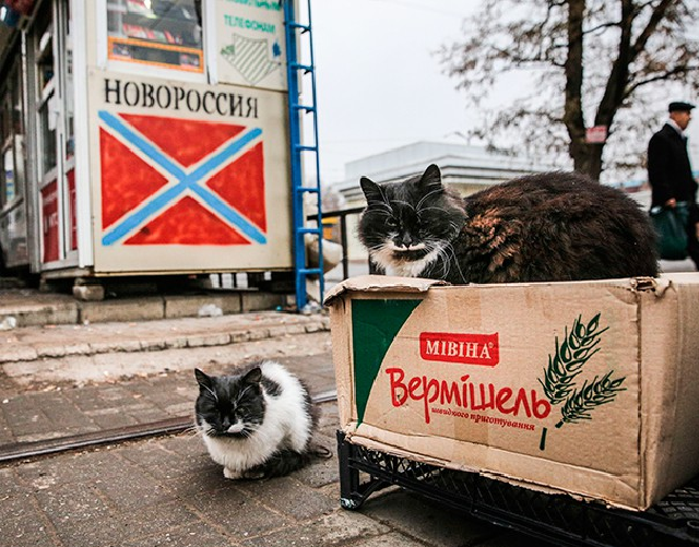 Боевиков «ЛНР» на передовой оставили без еды