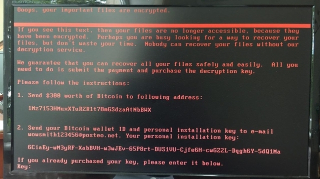 Госказначейство прекратило использование M.E.Doc из-за вируса Petya